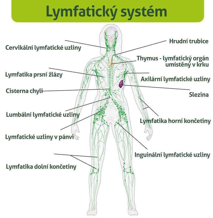 Lymfa masáž :: Hormonjoga