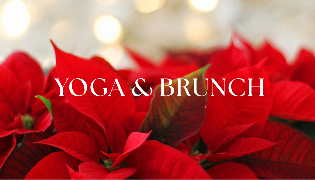 14.12.2025 jóga a výživné dobrotky